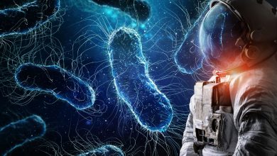 اسرار میکروبیوم فضانوردان؛ سفر فضایی چگونه بر سلامت انسان اثر می‌گذارد؟
