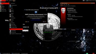 حمله هکر های اینترنتی به کره شمالی